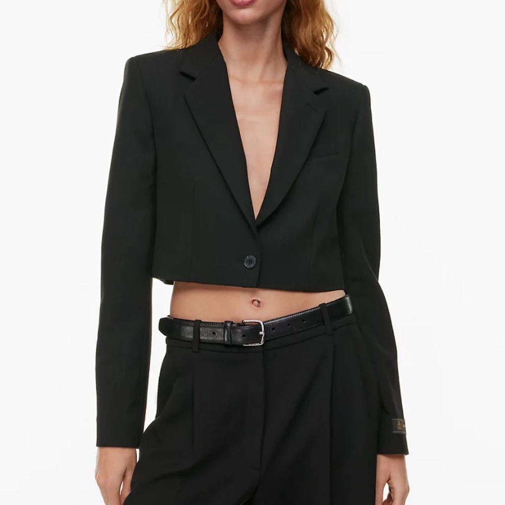 Babaton blazer crop